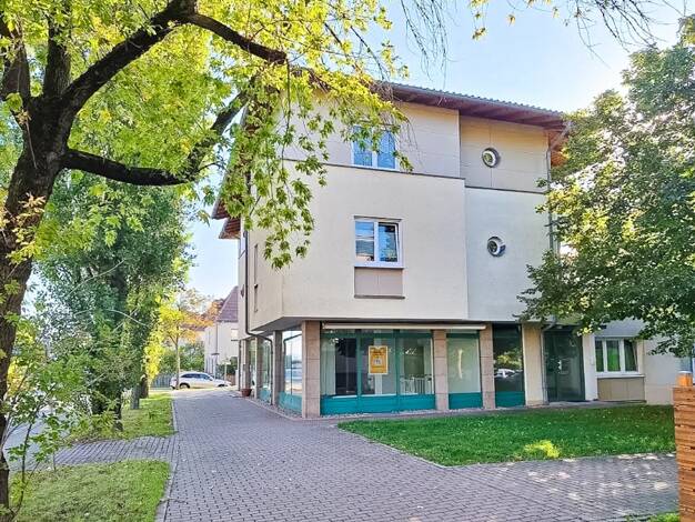 Ladenfläche zur Miete provisionsfrei 14,70 € 30 m² Verkaufsfläche Leubnitz-Neuostra Dresden 01219