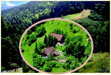 Einfamilienhaus zum Kauf 695.000 € 5 Zimmer 170 m² 11.100 m² Grundstück Bad Rippoldsau Bad Rippoldsau-Schapbach 77776