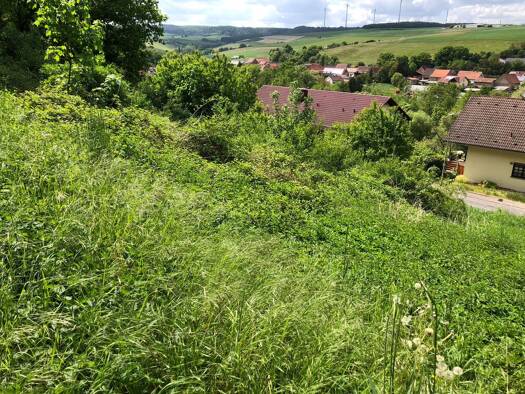 Grundstück zum Kauf 54.000 € 756 m² Grundstück Mühlwaldstraße 8 Imsweiler 67808