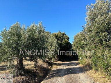 Grundstück zum Kauf 89.000 € 10.000 m² Grundstück Ferienhaus Toskana mit 120 Olivenbäumen Roccastrada 58036
