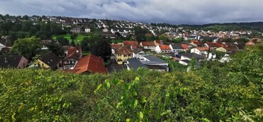 Grundstück zum Kauf 198.000 € 1.200 m² Grundstück Wallhausen 55595