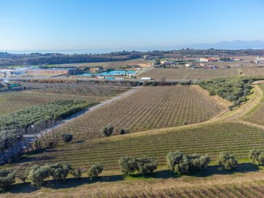 Grundstück zum Kauf 340.000 € 17.243 m² Grundstück via Veronello Calmasino 37011