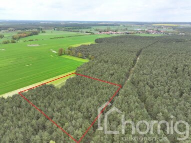 Land-/Forstwirtschaft zum Kauf 6.500 € 9.463 m² Grundstück Apenburg Flecken Apenburg-Winterfeld 38486