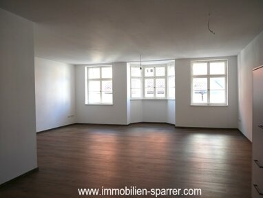 Wohnung zur Miete 1.490 € 2 Zimmer 109 m² Altstadt Weiden in der Oberpfalz 92637