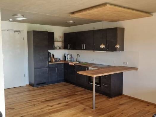 Wohnung zur Miete 542 € 1 Zimmer 54 m² EG frei ab 01.03.2026 Hergatz 88145