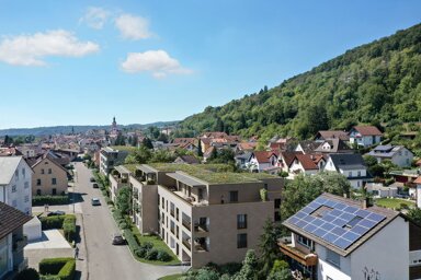 Neubauprojekt zum Kauf Tiengen Waldshut-Tiengen 79761