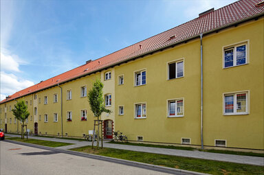 Wohnung zur Miete 282,30 € 1 Zimmer 28,2 m² frei ab 08.11.2024 Humboldtstr. 3 Hennigsdorf 16761