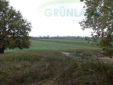 Land-/Forstwirtschaft zum Kauf 650.000 € 424.337 m² Grundstück Eisenhüttenstadt Eisenhüttenstadt 15890