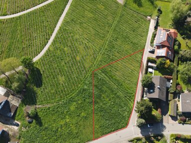 Einfamilienhaus zum Kauf 647.000 € 1.349 m² Grundstück Durbach Durbach 77770