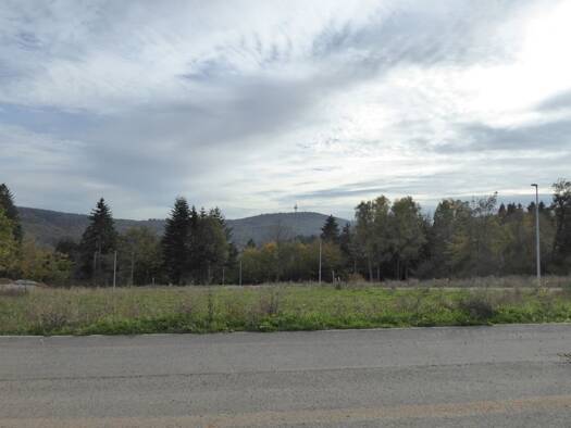 Grundstück zum Kauf 330.000 € 600 m² Grundstück Schloßborn Glashütten 61479