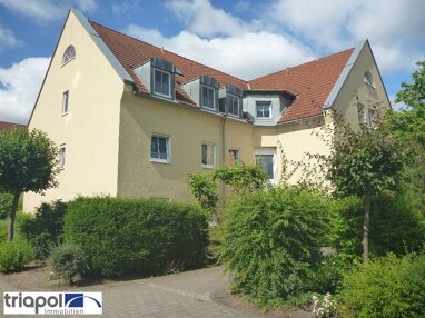 Wohnung zur Miete 310 € 1 Zimmer 38,9 m² 1. Geschoss Naundorfer Straße 52F Coswig 01640
