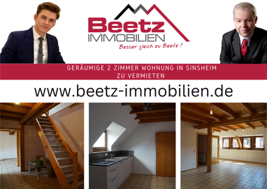 Wohnung zur Miete 900 € 2 Zimmer 100 m² Sinsheim Sinsheim , Elsenz 74889