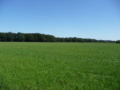 Landwirtschaftliche Fläche zum Kauf 467.256 m² Grundstück Badbergen Badbergen 49635