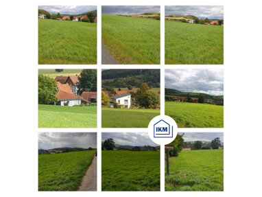Grundstück zum Kauf 549.000 € 13.300 m² Grundstück Garlebsen Einbeck 37574