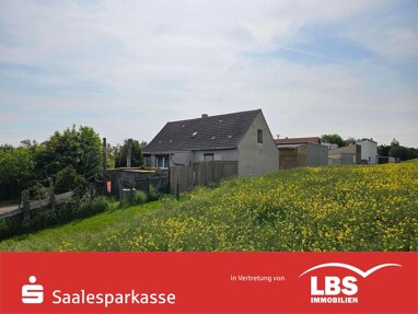 Einfamilienhaus zum Kauf 94.000 € 4 Zimmer 110 m² 482 m² Grundstück Teutschenthal Teutschenthal 06179