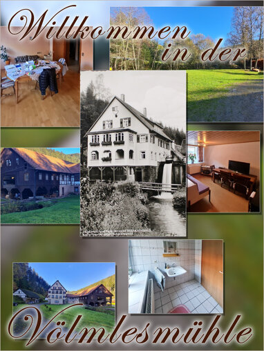 Wohn- und Geschäftshaus zum Kauf 1.490.000 € 20 Zimmer 1.650 m² 76.867 m² Grundstück Wittlensweiler Freudenstadt 72250