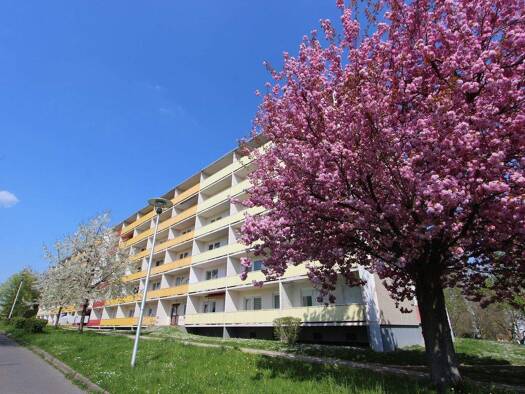 Wohnung zur Miete 300 € 1 Zimmer 36,1 m² EG Jenaer Straße 4 Lusan Gera 07549