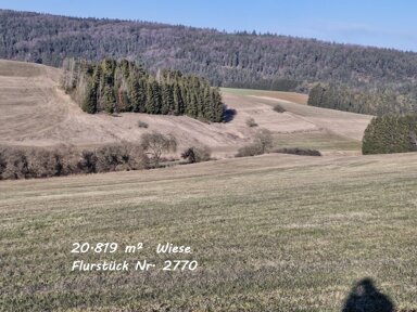 Grundstück zum Kauf 104.000 € 20.819 m² Grundstück Mauenheim Immendingen 78194