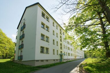 Wohnung zur Miete 268,07 € 2 Zimmer 50,6 m² Erdgeschoss Maximilian-Kolbe-Weg 5 Reusa / Sorga Plauen 08529
