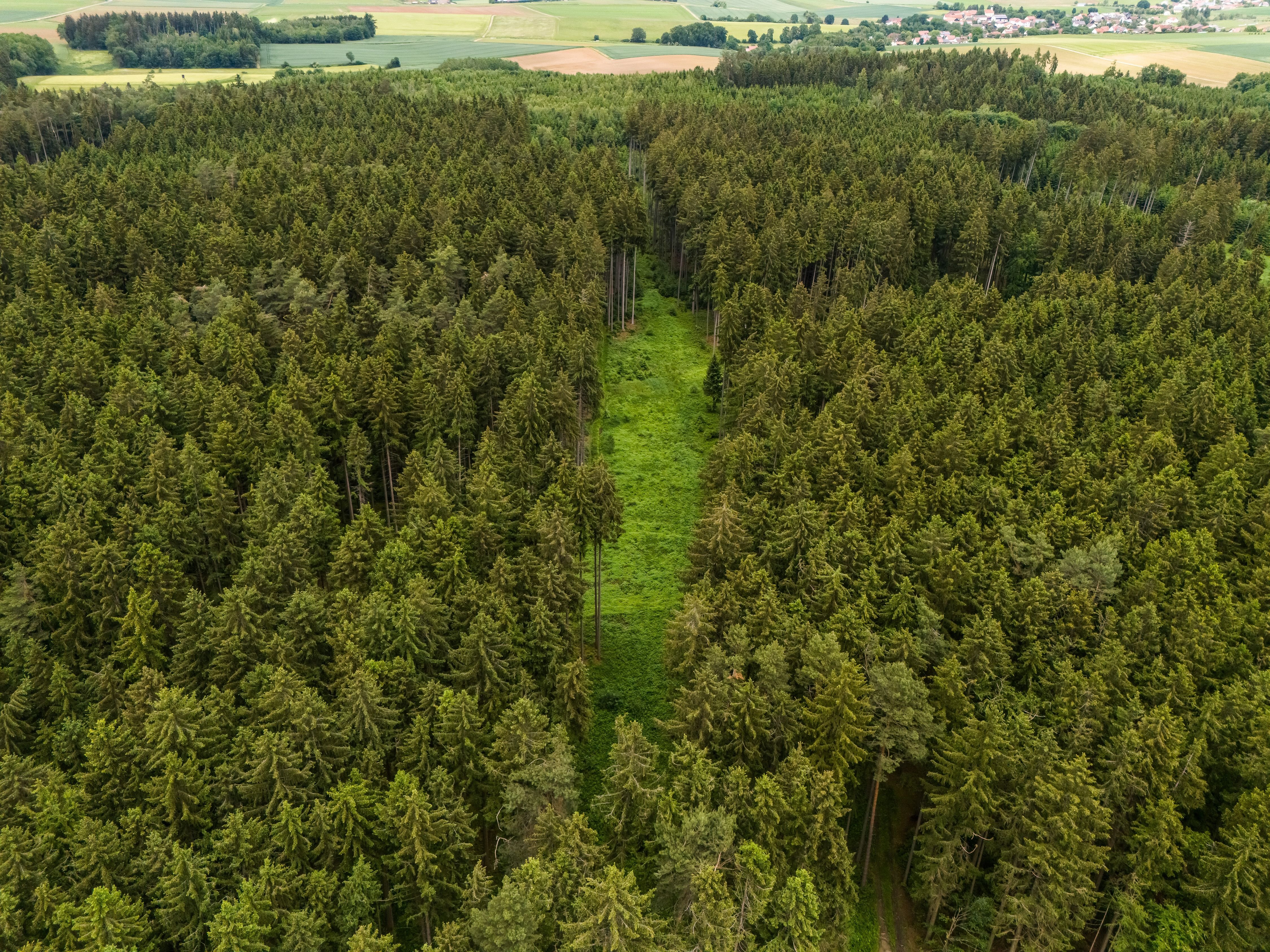 Land-/Forstwirtschaft zum Kauf 39.000 € 10.927 m²<br/>Grundstück Schierling Schierling 84069