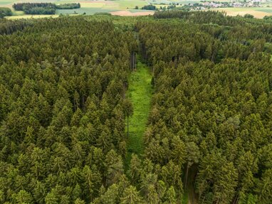 Land-/Forstwirtschaft zum Kauf 39.000 € 10.927 m² Grundstück Schierling Schierling 84069