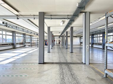 Produktionshalle zur Miete Provisionsfrei 6,50 € 1.000 m² Lagerfläche Löffingen Löffingen 79843