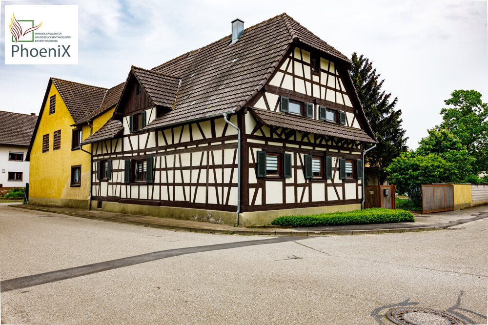 Mehrfamilienhaus zum Kauf 615.000 € 10 Zimmer 100 m²<br/>Wohnfläche 1.150 m²<br/>Grundstück Grafenhausen Kappel-Grafenhausen 77966