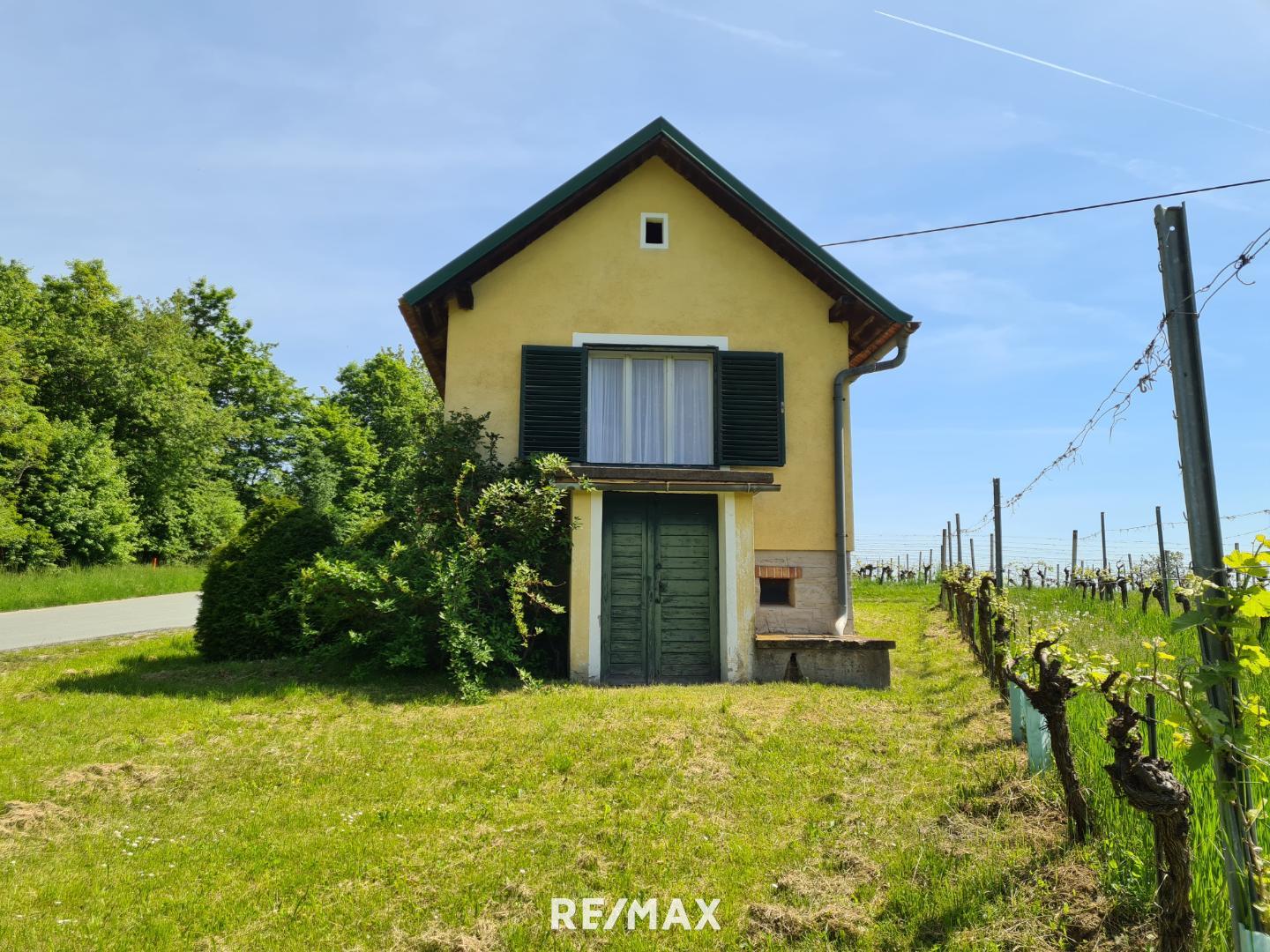 Weingut zum Kauf 110.000 € 2.644 m²<br/>Grundstück Eisenberg an der Pinka 7474