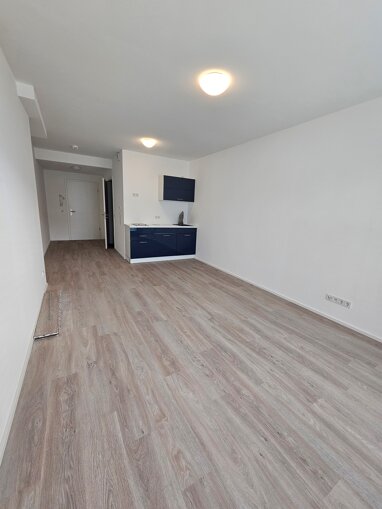 Apartment zur Miete 590 € 1 Zimmer 35 m² Erdgeschoss Lambertistraße 1 Euren 4 Trier 54294