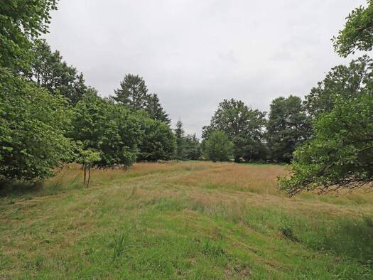 Grundstück zum Kauf 80.000 € 3.738 m² Grundstück Streetz Dannenberg (Elbe) 29451