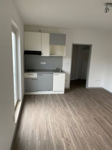 Apartment zur Miete 350 € 1 Zimmer 25 m² Mombachstraße 88 Rothenditmold Kassel 34127