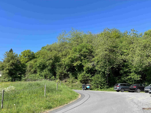 Grundstück zum Kauf 40.000 € 2.120 m² Grundstück Neunkirchen Daun / Neunkirchen 54550