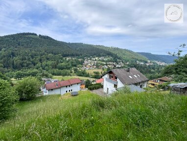 Freizeitgrundstück zum Kauf 15.000 € 1.204 m² Grundstück Neue Steige Bad Wildbad Bad Wildbad 75323