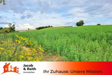 Grundstück zum Kauf 249.000 € 1.000 m² Grundstück Spechbach 74937
