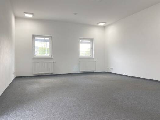 Bürofläche zur Miete 1.150 € 7 Zimmer 169 m² Bürofläche Regenstauf 93128