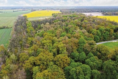Land-/Forstwirtschaft zum Kauf 3.500 € 12.281 m² Grundstück Parkstraße 1b Selbelang Paulinenaue OT Selbelang 14641