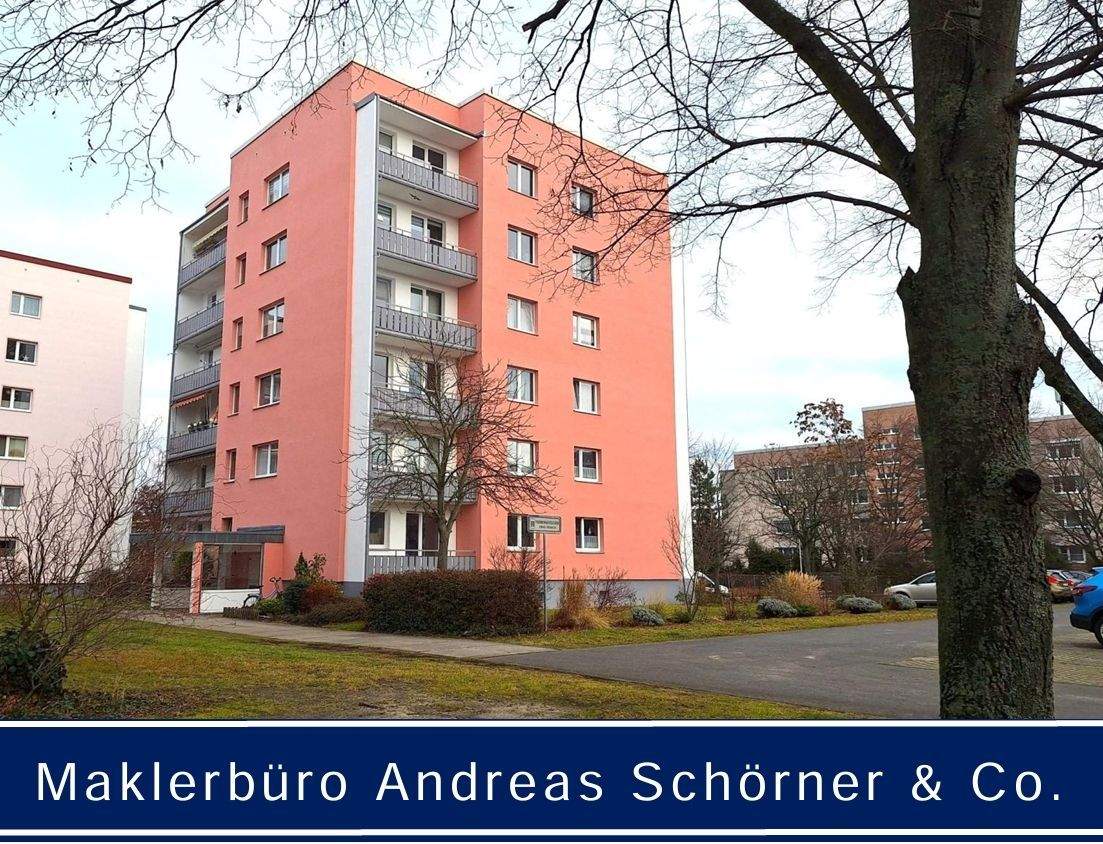 Immobilie in Cottbus - Chóśebuz - Kleine, freundliche Eigentumswohnung, gemütlich und sehr gepflegt - Bild 0