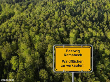 Land-/Forstwirtschaft zum Kauf 115.000 € 68.954 m² Grundstück Helmeringhausen Bestwig-Ramsbeck 59939