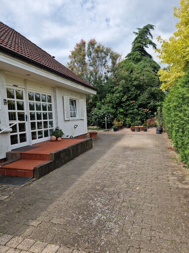 Mehrfamilienhaus zum Kauf 529.000 € 10 Zimmer 250 m² 771 m² Grundstück Dirmstein 67246