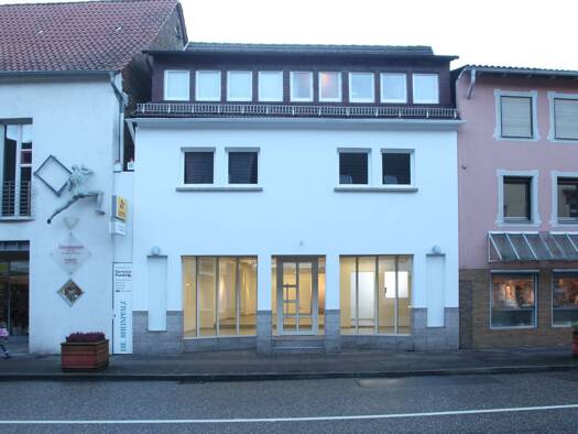 Stadthaus zum Kauf 535.000 € 399 m² 270 m² Grundstück Bad Bergzabern 76887