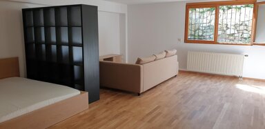 Wohnung zur Miete 470 € 1 Zimmer 49 m² EG Schliengen Schliengen 79418