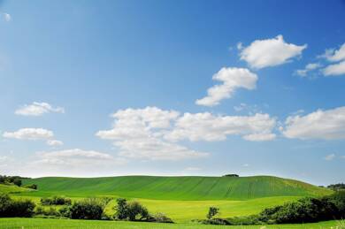 Landwirtschaftliche Fläche zum Kauf 76.043 m² Grundstück Bächingen 89431