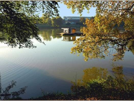 Einfamilienhaus zum Kauf 935.000 € 6 Zimmer 172 m² 815 m² Grundstück Aaseestadt Münster 48151