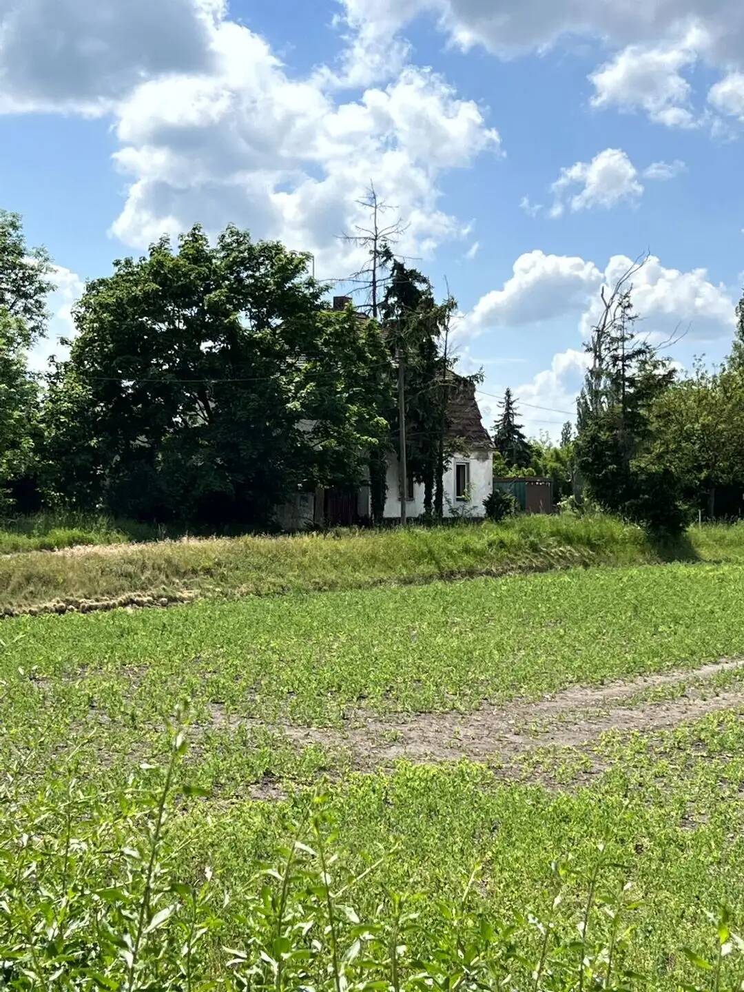 Immobilie in Kabelsketal - Einfamilienhaus am Ortsrand von Dieskau inkl. ca. 600 m² Grundstück - Bild 4