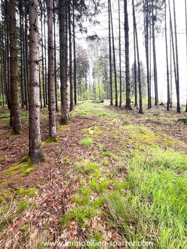 Forstwirtschaft zum Kauf 39.000 € 11.480 m² Waidhaus 92726