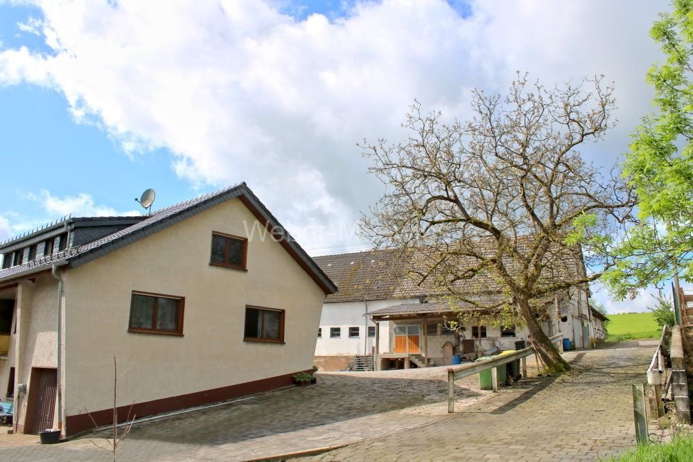 Bauernhof zum Kauf 777.000 € 10.440 m²<br/>Grundstück Ophausen Much 53804