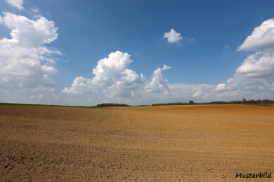 Landwirtschaftliche Fläche zum Kauf 53.000 m² Grundstück Wolfshagen Uckerland 17337