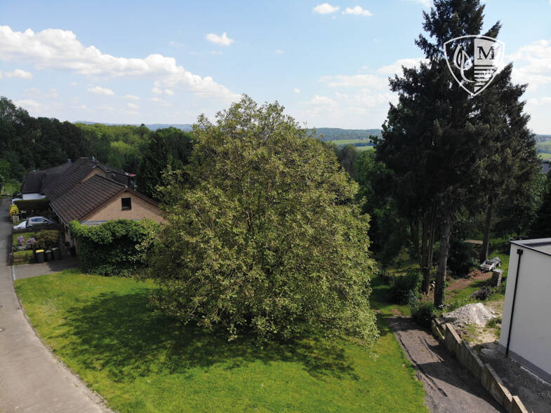Grundstück zum Kauf 249.000 € 765 m² Grundstück Altenbödingen Hennef (Sieg) 53773