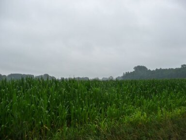 Landwirtschaftliche Fläche zum Kauf 47.706 m² Grundstück Badbergen Badbergen 49635