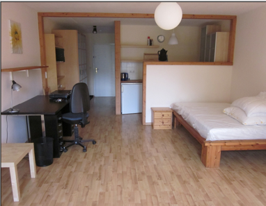 Apartment zur Miete Wohnen auf Zeit 950 € 1 Zimmer 43 m² frei ab 01.04.2024 Adlerstr. Innenstadt - Ost - Südwestlicher Teil Karlsruhe 76133